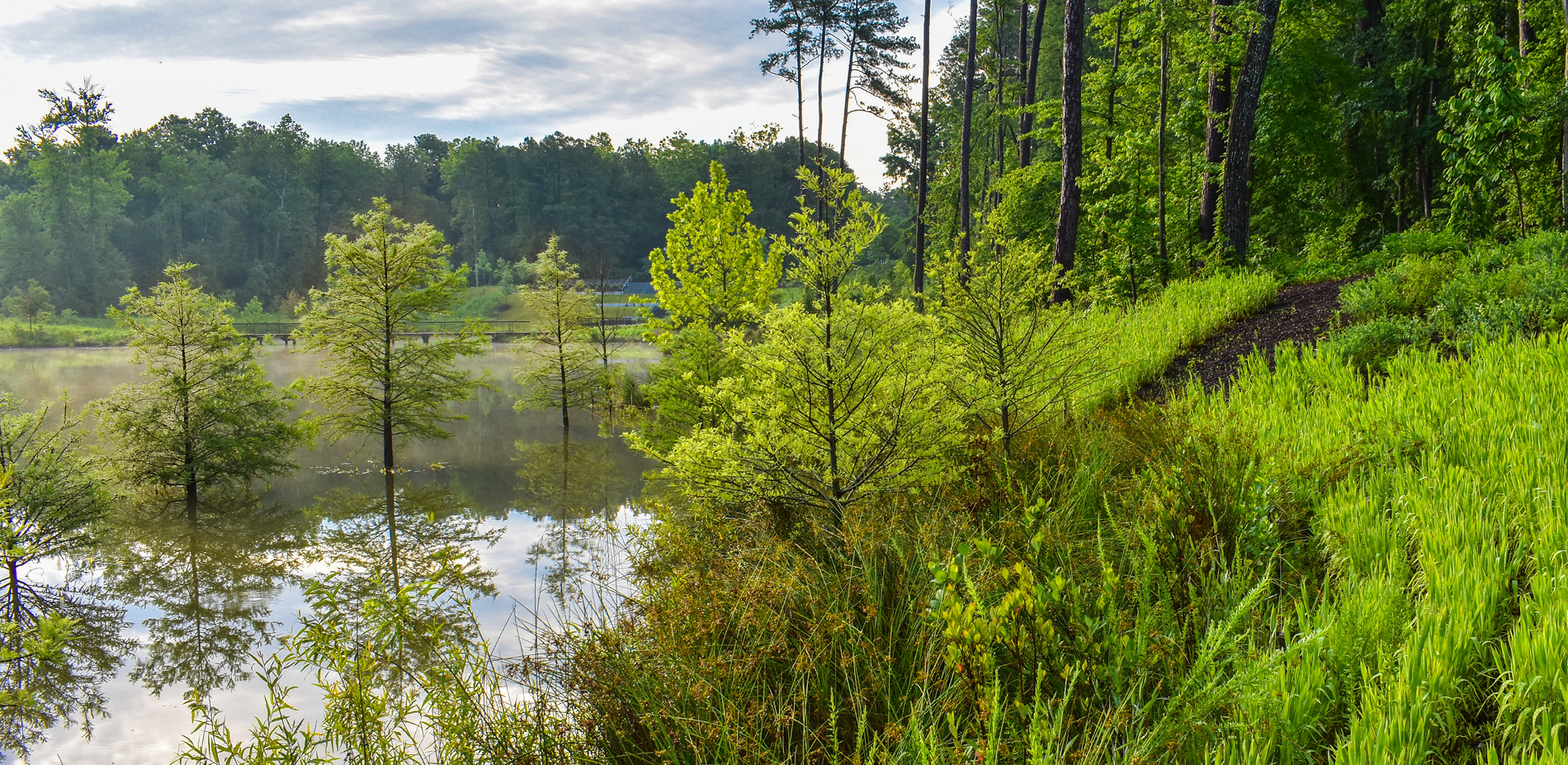 Duke University Water Reclamation Pond Image 10